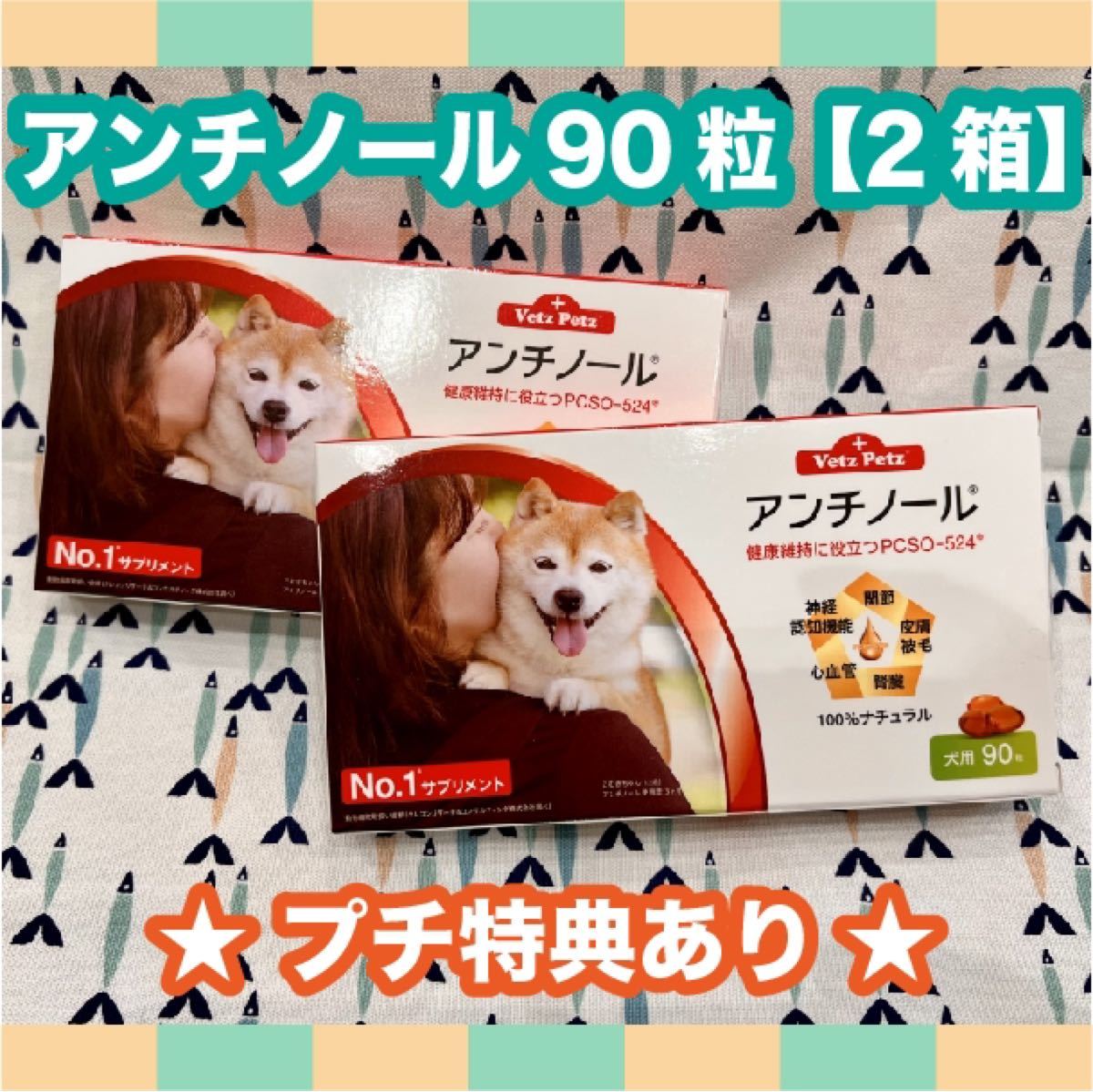 アンチノール 犬用 90粒 2箱〈おまけ付き〉(¥14,400) loreto.gob.mx