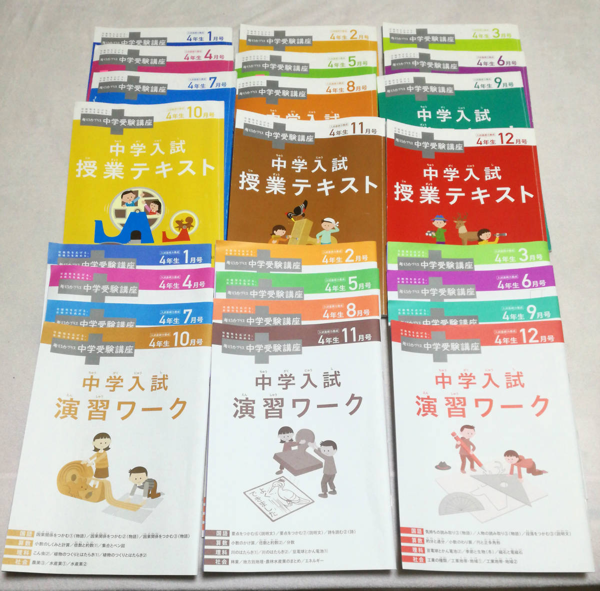 進研ゼミ 考える力・プラス 中学受験講座 6年生まとめ売り - 本