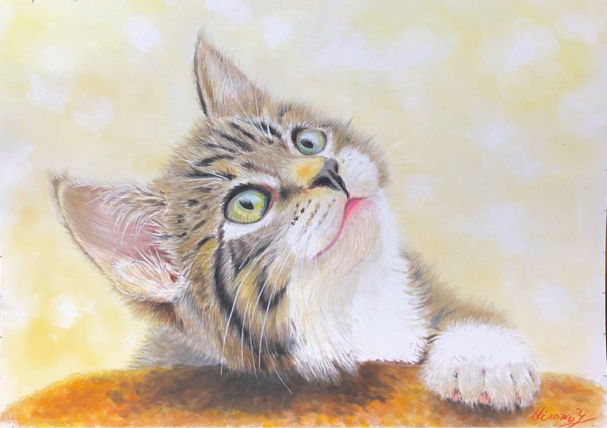 美しい猫　　312 色鉛筆画（手描き　原画）　イラスト　ペット　犬　猫　動物　オーダー