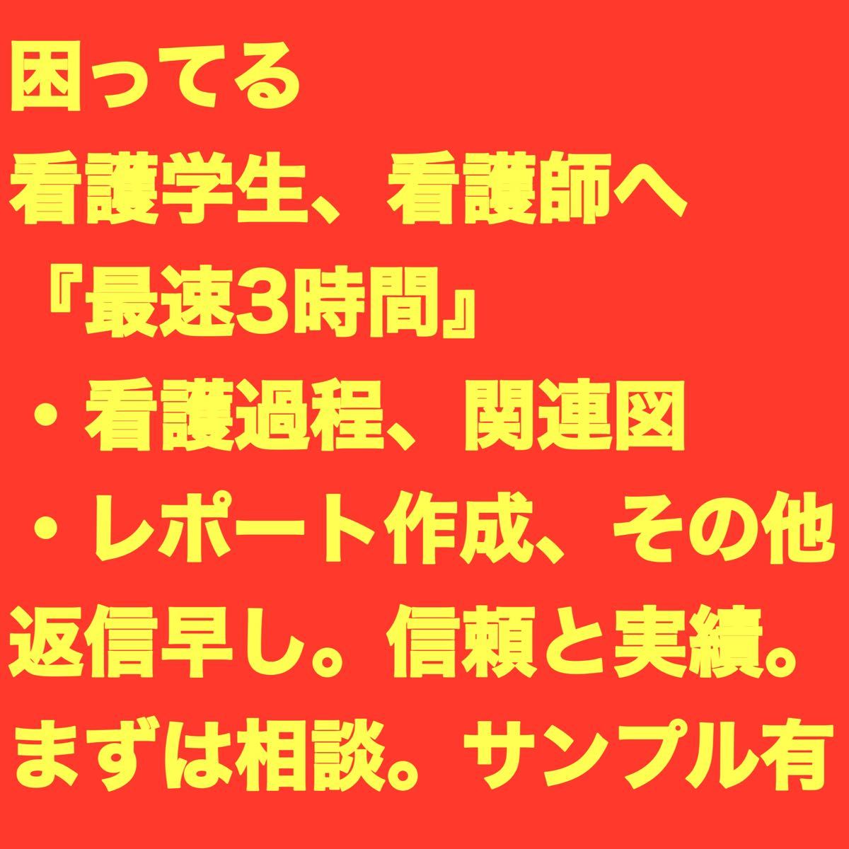 価格は安く 看護過程見本作り - 看護学生参考書 - reachahand.org