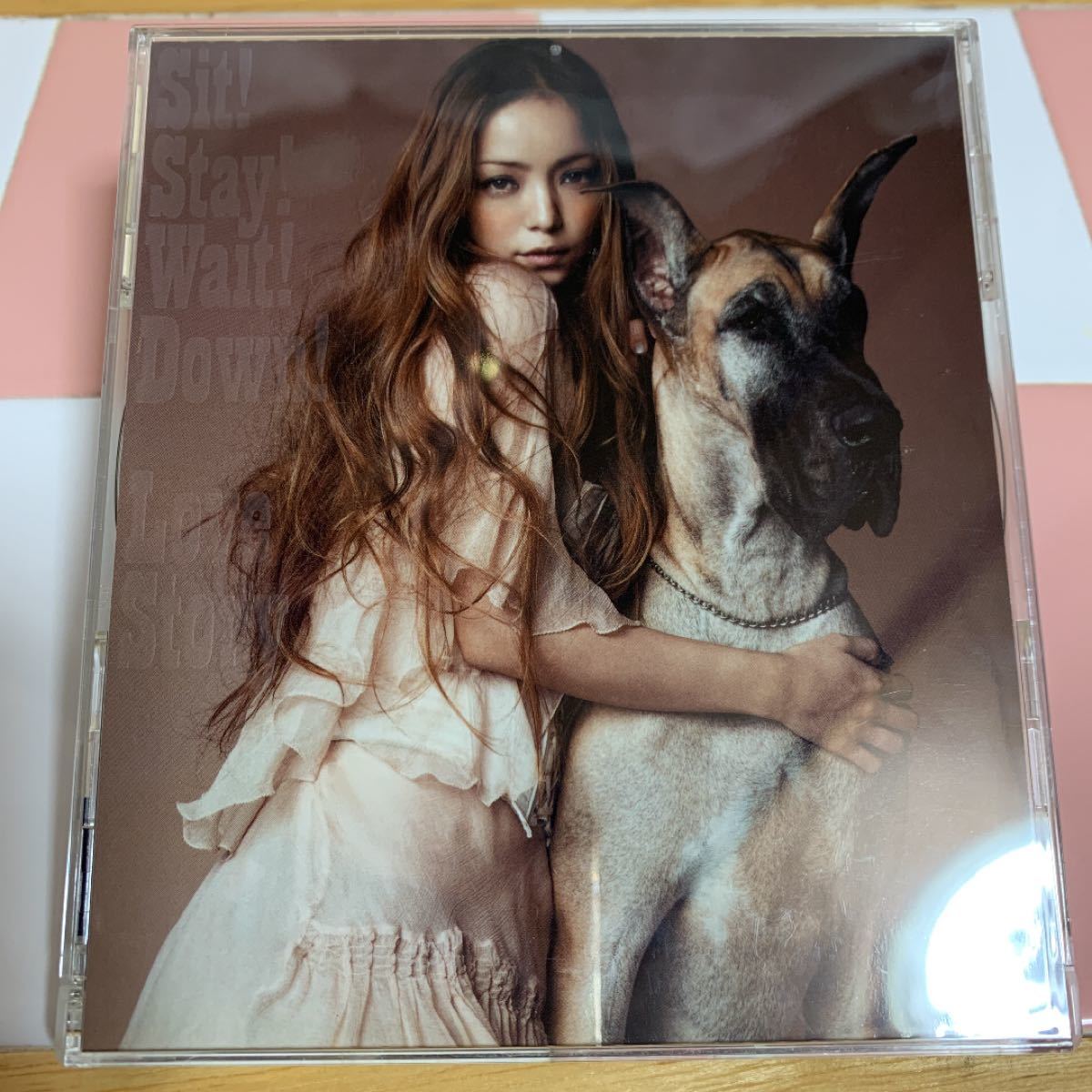 【CD＋DVD】Sit! Stay! Wait! Down!/Love Story 安室奈美恵