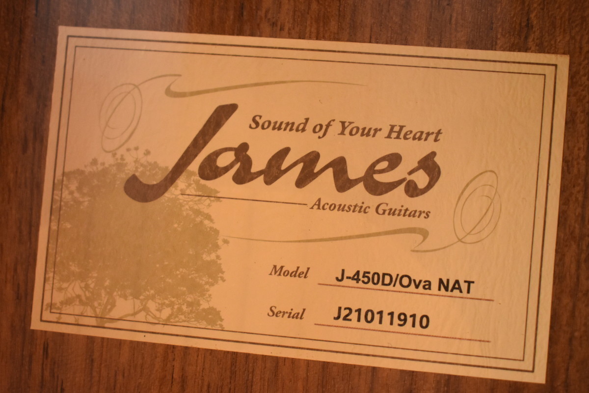 James ジェームス アコースティックギター エレアコ J-450D/Ova NAT