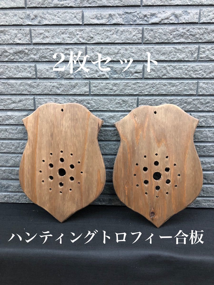 小物などお買い得な福袋 着生板 ビカクシダ板 ビカクシダ シカ型