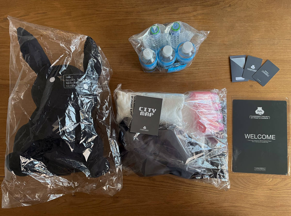 INN THUNDERBOLT PROJECT BY FRGMT & POKMON ポケモン × fragment