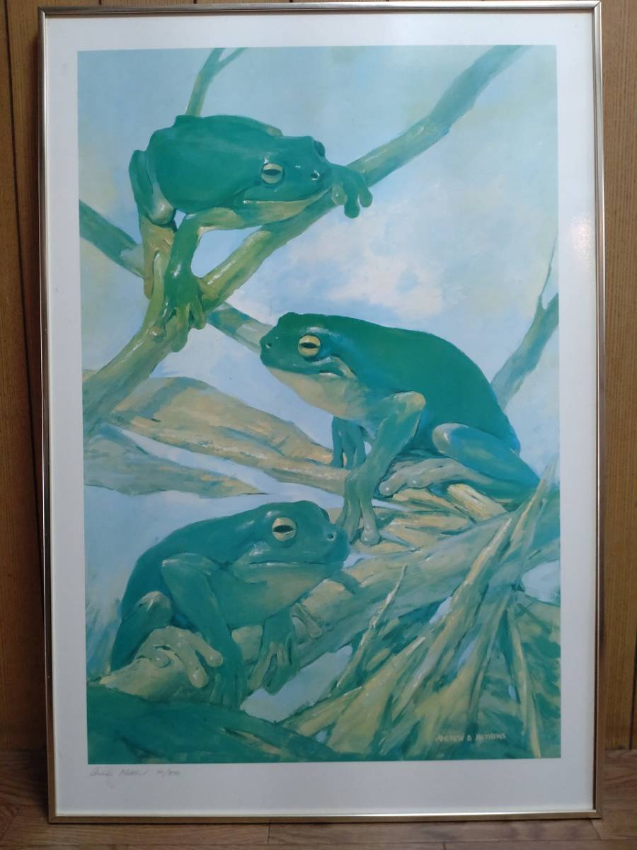 カエルの絵 ANDREW B MATTHEWS 壁飾り 蛙 かえる カエル 額のサイズ：857×582×22㎜　【K306】