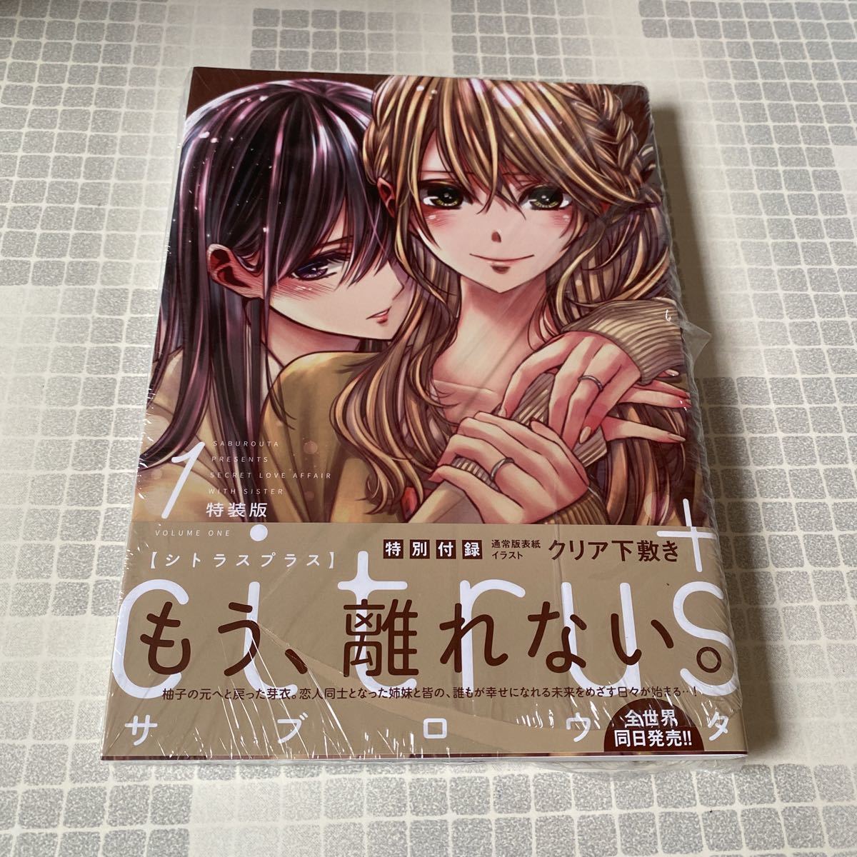 citrus+ シトラス 購入特典 書き下ろし イラストペーパー - 女性漫画