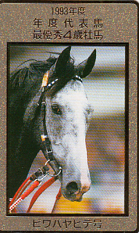 ●ビワハヤヒデ 1993年度年度代表馬テレカ_画像1