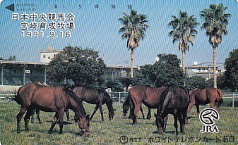 ●JRA 日本中央競馬会宮崎育成牧場テレカ_画像1