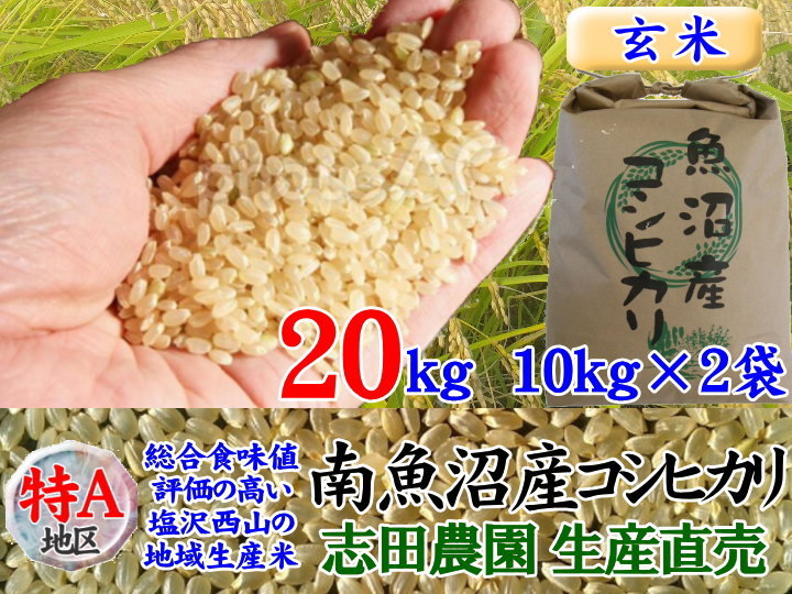 南魚沼産コシヒカリ玄米20kg(10k×2)令和3年産・毎日発送（¥10,980
