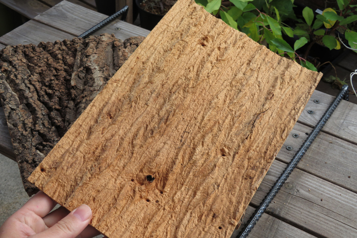5枚　樹皮　コルク板　20×30ｃｍ（厚約10ｍｍ以下）洋蘭　原種　チランジア　エアープランツ　熱帯植物　ラン　コルク　樹皮　_裏面