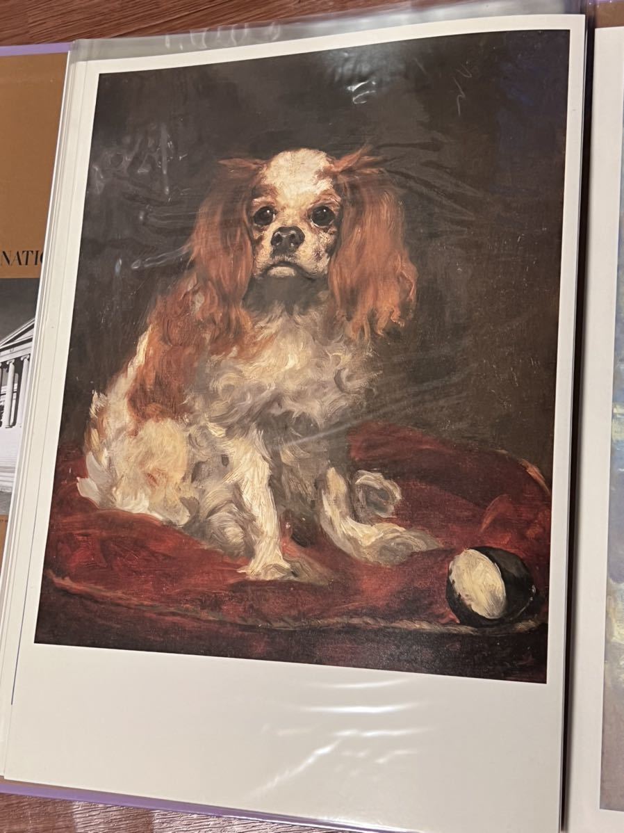 * Ed ua-ru* mannequin g* Charles * spaniel dog printing .*A-2496