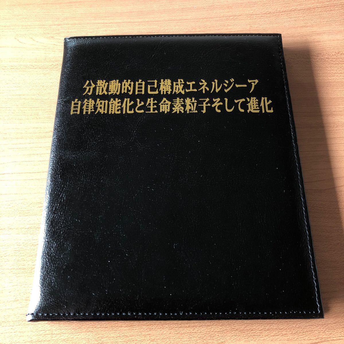 ついに再入荷！ 苫米地英人ＤＶＤ第２弾「空の理解と体得」 苫米地英人