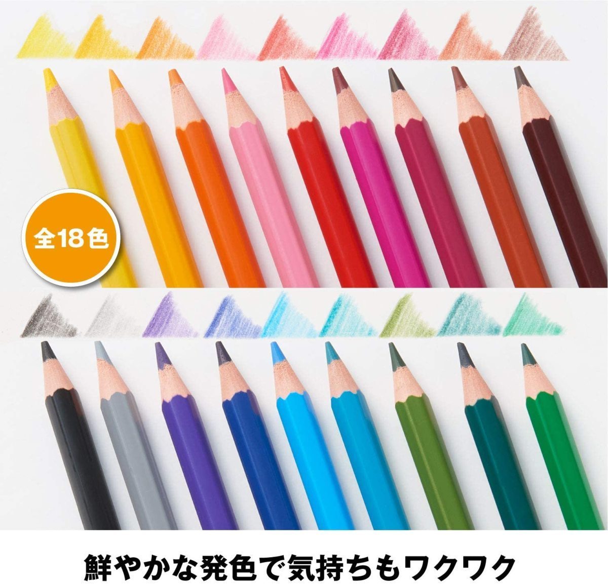 同梱可能 色鉛筆 18色 缶入り Bicジャパン キッズ BKEVOM18E/0987ｘ１個_画像7