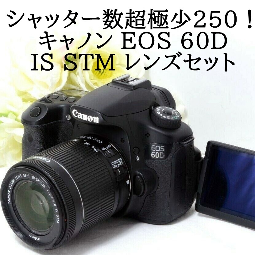 Canon EOS 60D EFS18-55mmのレンズセット ftp.eva.gov.co