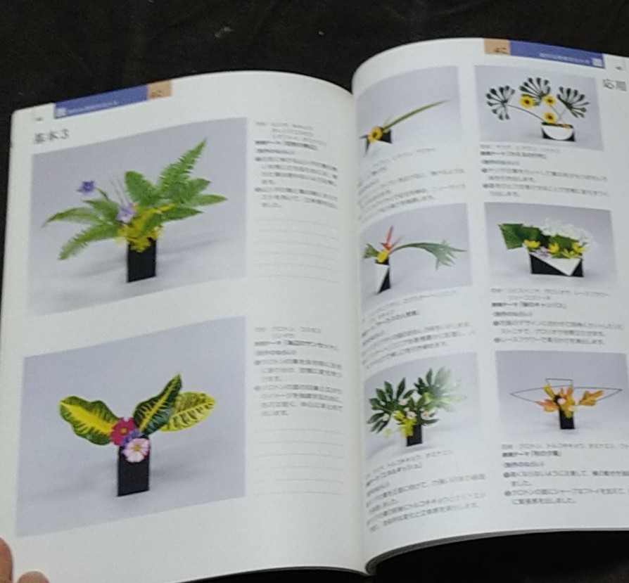 自由花入門カリキュラム いけばな池坊|Yahoo!フリマ(旧PayPay 自由花入門カリキュラム いけばな池坊|Yahoo!フリマ(旧PayPay