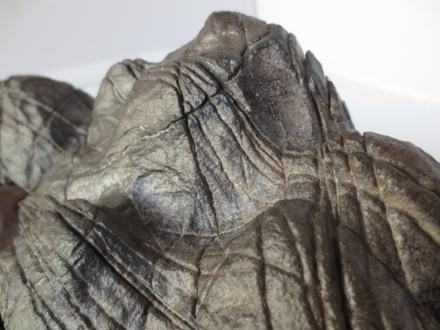 [.]. mountain stone tray stone suiseki st 30 centimeter karaki pedestal era stone 12feb1