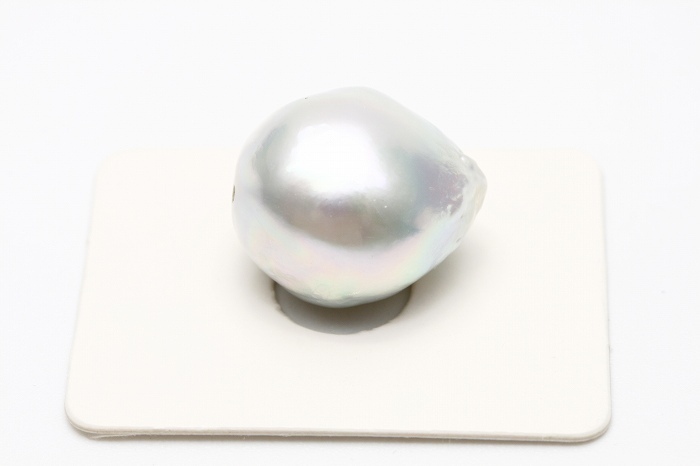 超高品質で人気の 南洋白蝶真珠パールルース 両穴 18×15mm シルバー