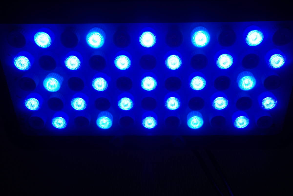 LEDライト フルスペック 165W 海水魚/サンゴ ブラックボックス(照明 