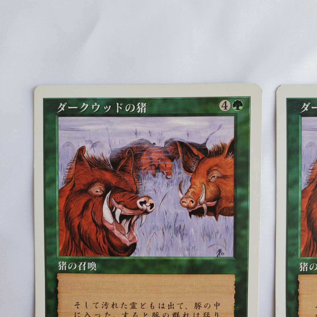 ○★MTG★ダークウッドの猪★2枚★マジック・ザ・ギャザリング★基本セット第5版★1997年★保管品★_画像3