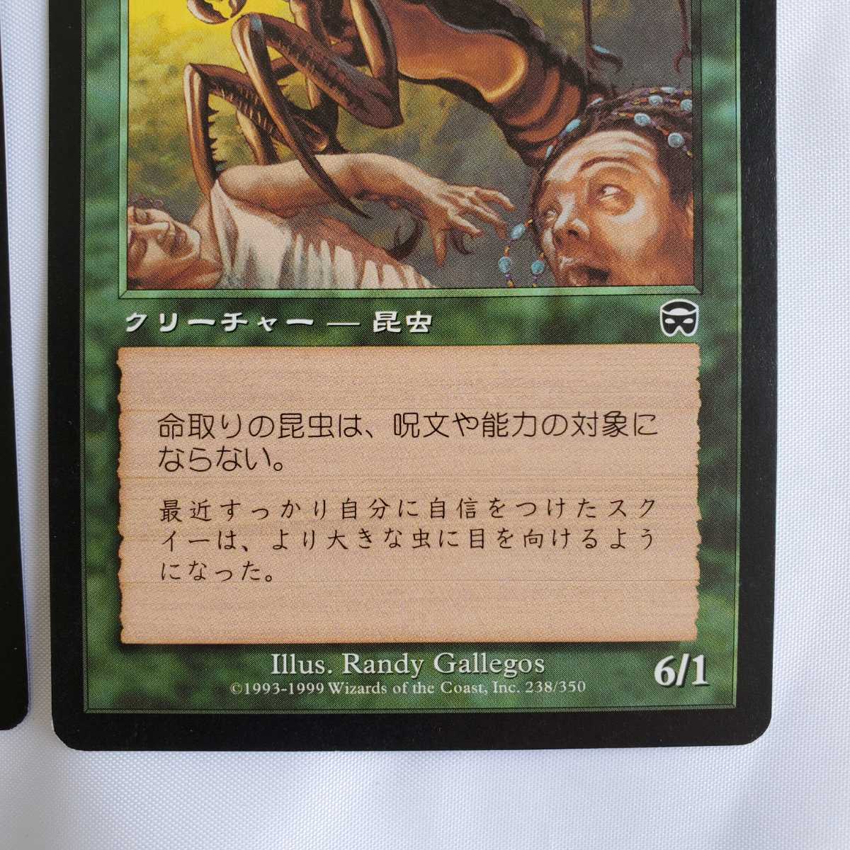 ○★MTG★命取りの昆虫★3枚★マジック・ザ・ギャザリング★メルカディアン・マスクス★1999年★保管品★_画像8