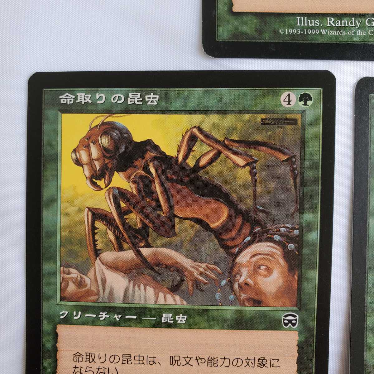 ○★MTG★命取りの昆虫★3枚★マジック・ザ・ギャザリング★メルカディアン・マスクス★1999年★保管品★_画像5