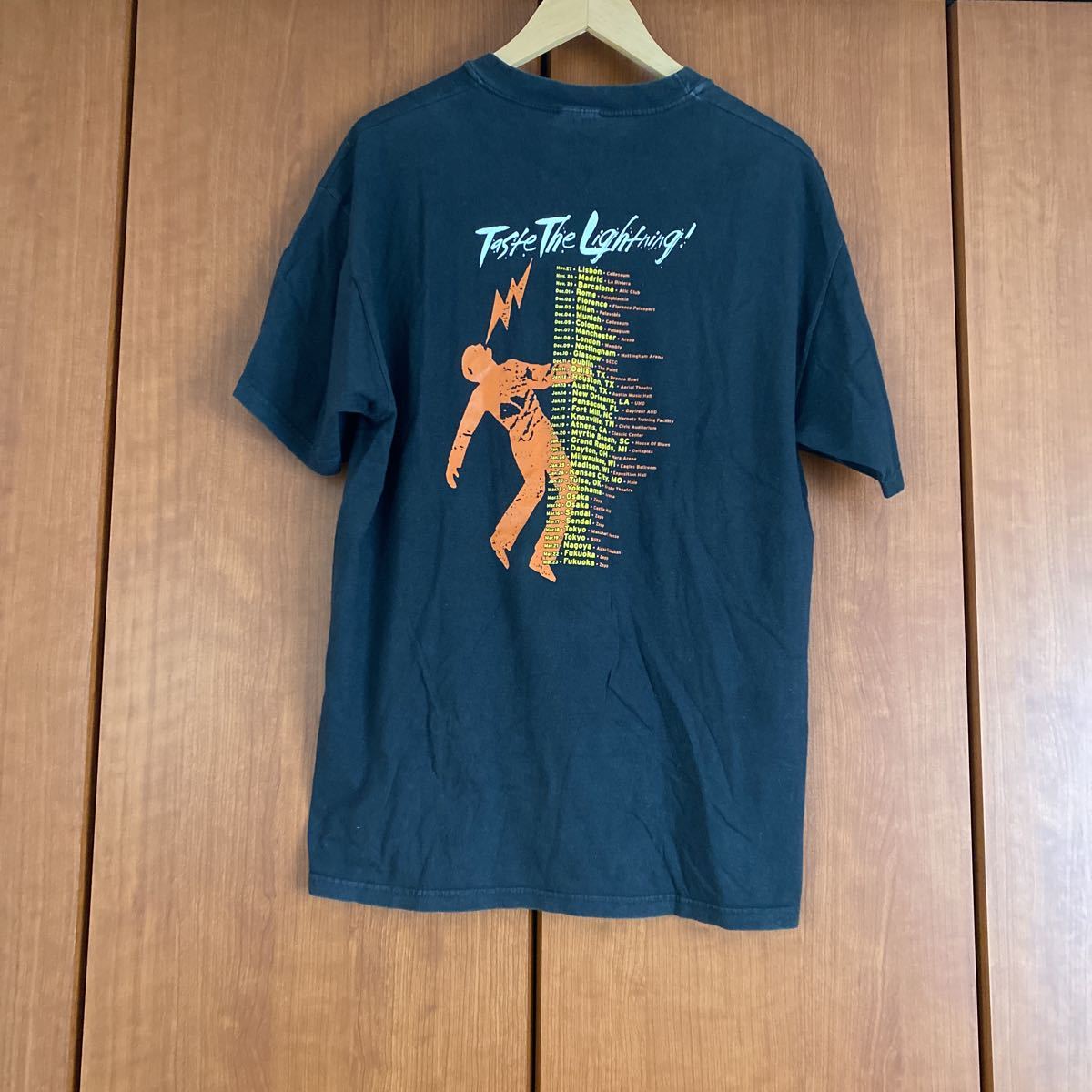 グリーンデイ　greenday GREENDAY warningツアー　コピーライトあり　Tシャツ トレクール着用_画像6