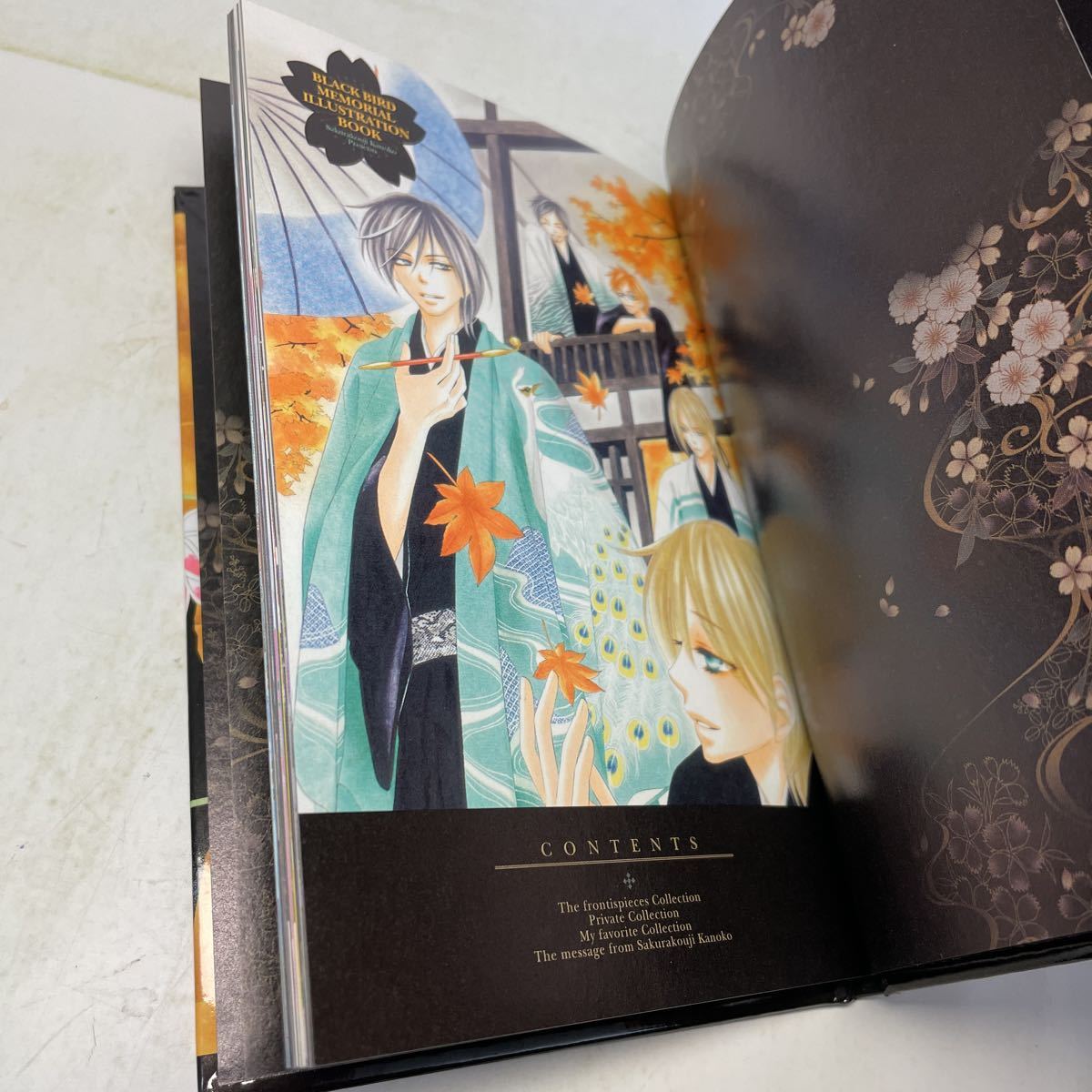 ヤフオク 2323 N09 送料無料 Black Bird ブラックバード ヤフオク 2323 N09 送料無料 Black Bird ブラックバード