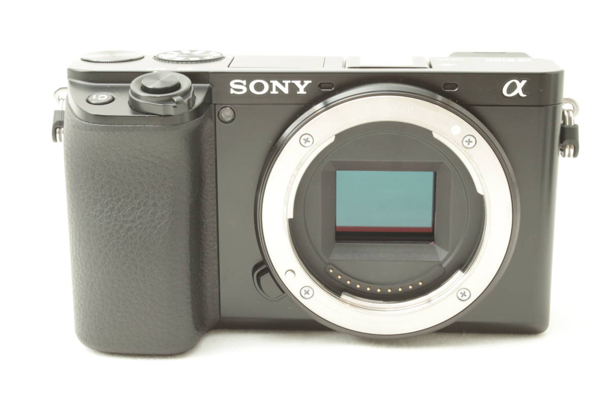 ソニー SONY α6100 ボディ ブラック ILCE-6100 B | laninternet.com.br