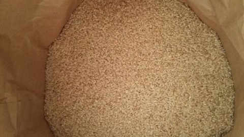 農家直送☆令和３年産☆自然乾燥米 秋田県産あきたこまち 白米３kg_きれいな玄米です！