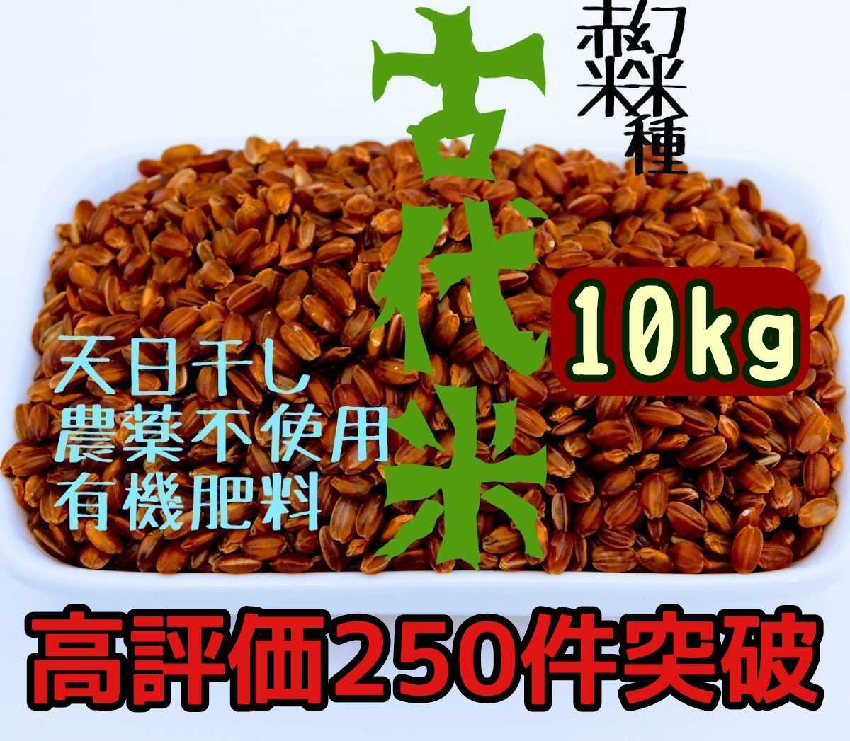 送料無料【天日干し】赤米10kg【農家直売】玄米 無農薬 有機肥料 発芽玄米 マクロビ オーガニック 自然農法 古代米 雑穀米 五穀米　黒米_画像1