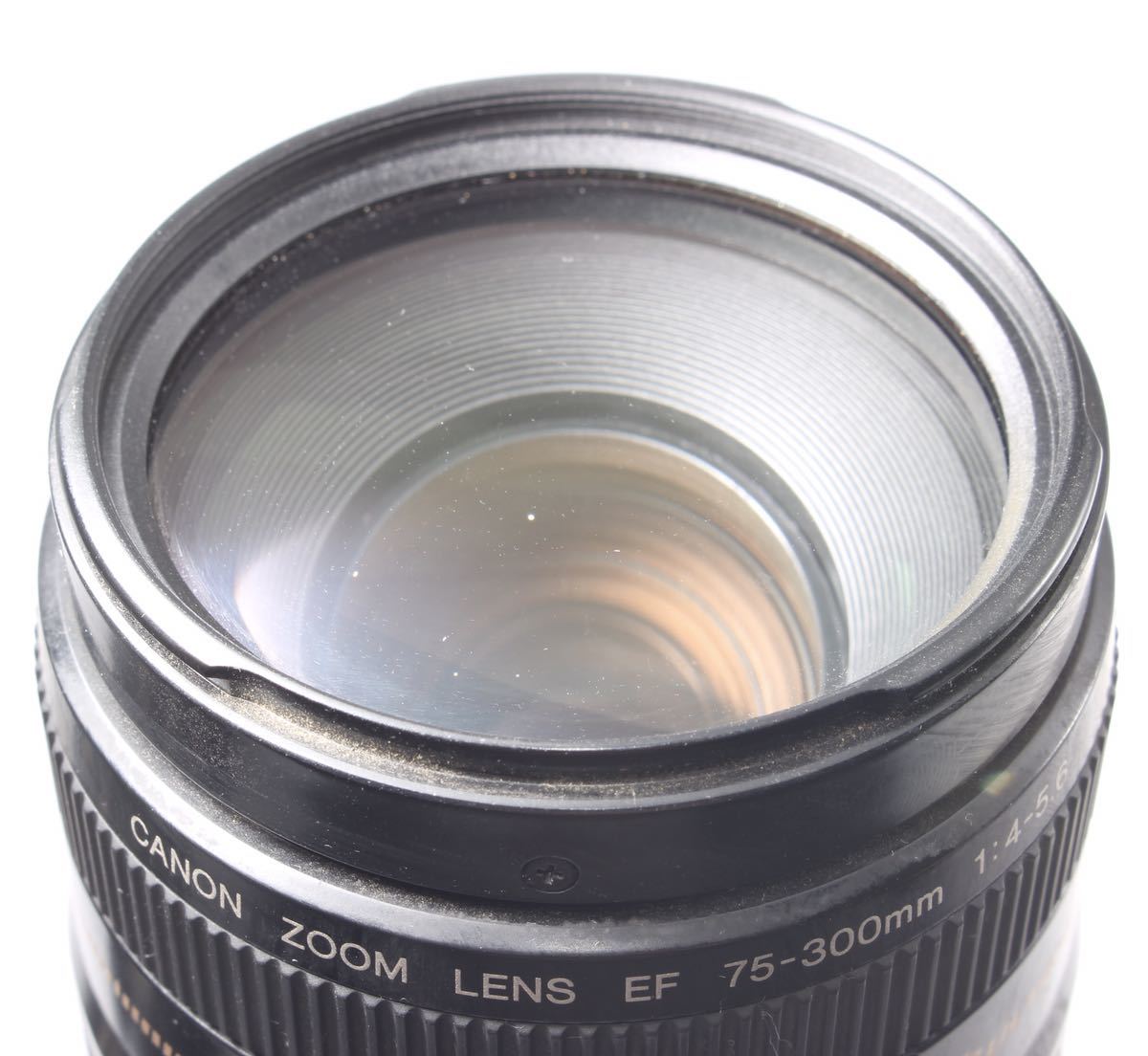 キヤノン Canon EF 75-300mm（¥9,800） | monsterdog.com.br