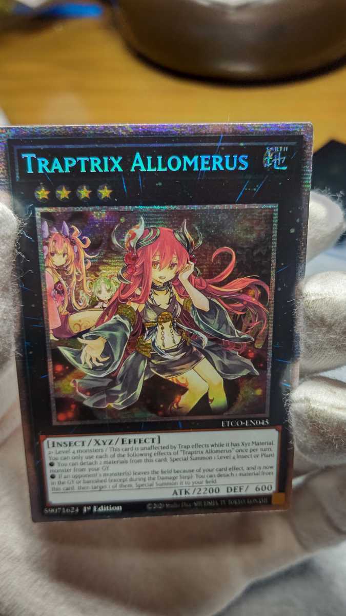 遊戯王 アロメルスの蟲惑魔 スターライトレア 1st 英語版 海外版