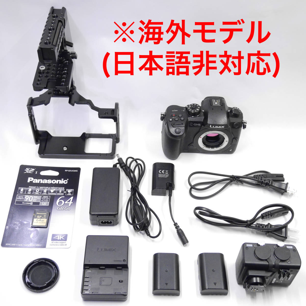 激安な Panasonic LUMIX DC-GH5 ミラーレス 一眼レフ labca.com.ar