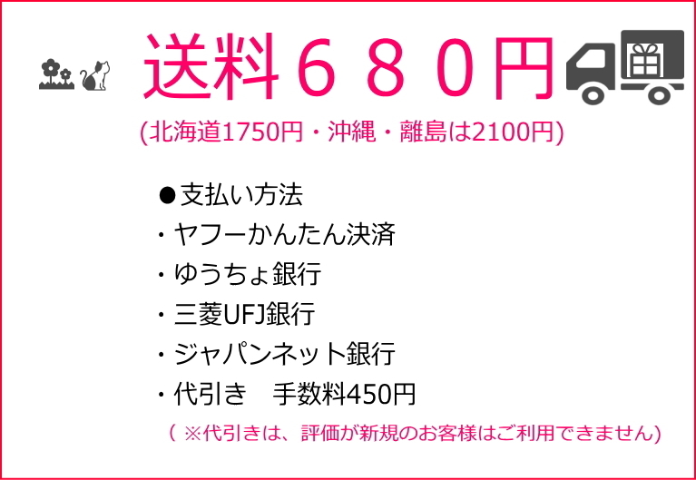 【新品本物】★ロダニア RODANIA カイマンワニ革 長財布 CJN0477ANVMT ネイビー マット ネイビー【男女兼用】 5