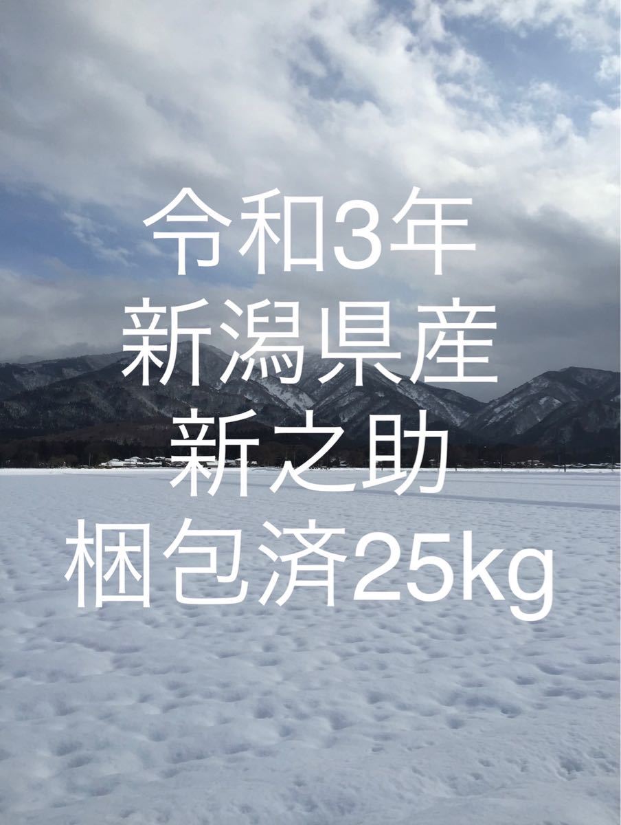 新米】令和3年産 新潟県 新之助 梱包済25kg 農家直送(¥9,900