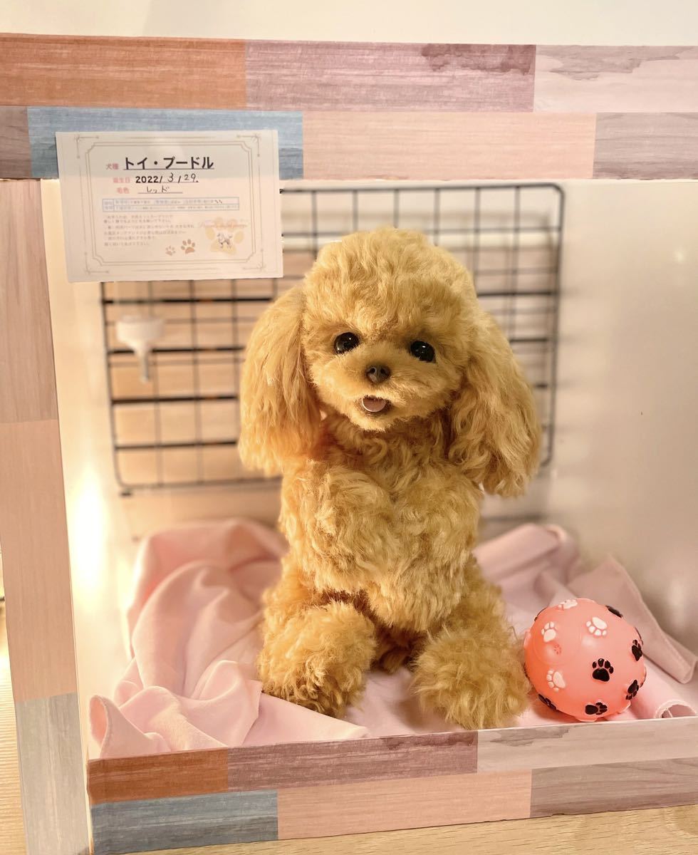 ぽぽみ** お耳ストレートヘア 舌出し トイプーちゃん ぬいぐるみ