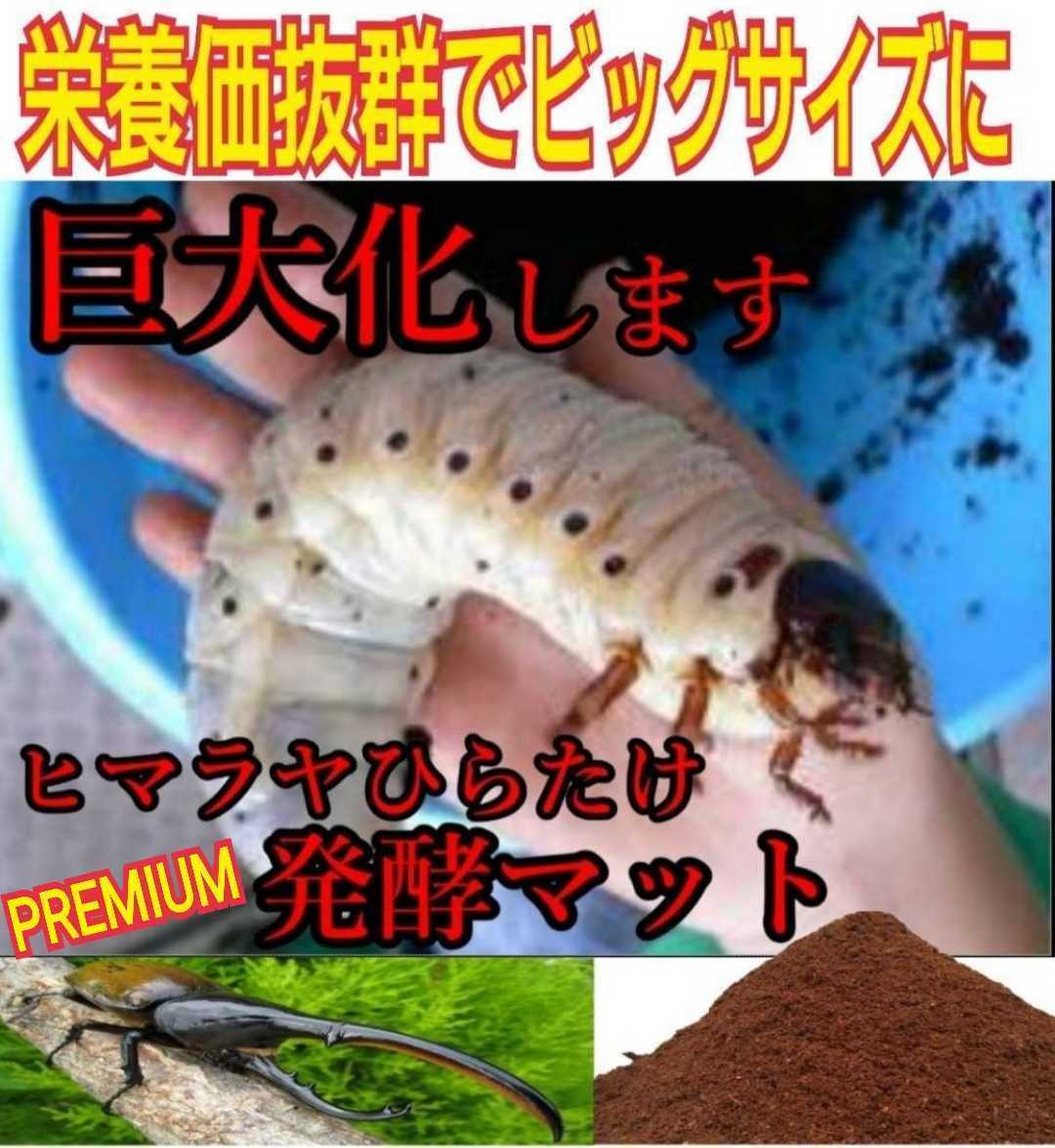 特大ケース付き☆プレミアム発酵マット20L入り☆カブトムシ幼虫を入れるだけ！便利！大型成虫羽化できます！コバエ防止特殊フィルター付き_画像2