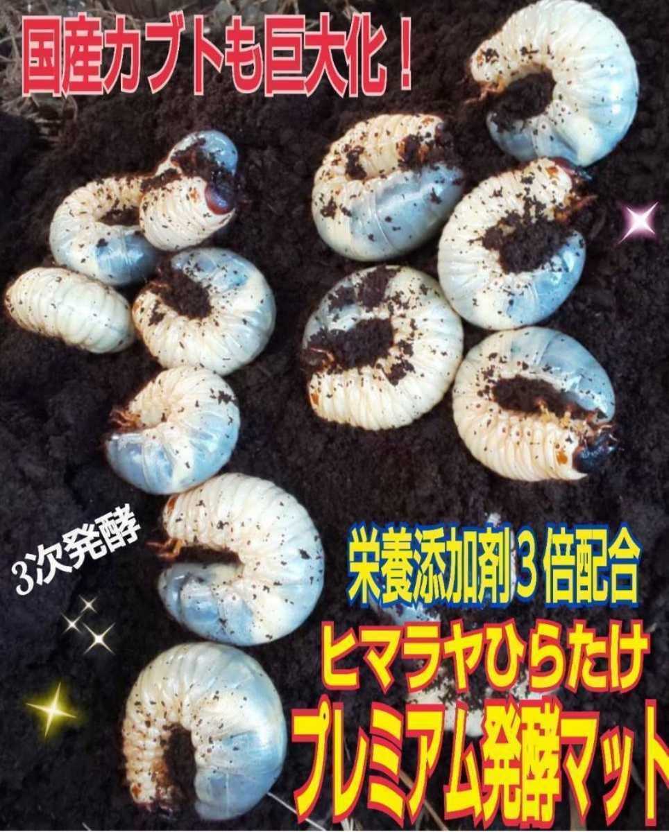 特大ケース付き☆プレミアム発酵マット20L入り☆カブトムシ幼虫を入れるだけ！便利！大型成虫羽化できます！コバエ防止特殊フィルター付き_画像9