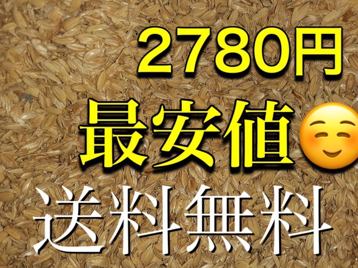 大容量もみがら　18キロ(150L)　もみがら　送料無料　もみ殻　茨城産　もみすり　籾殻　お得用　もみがらですよ_画像1