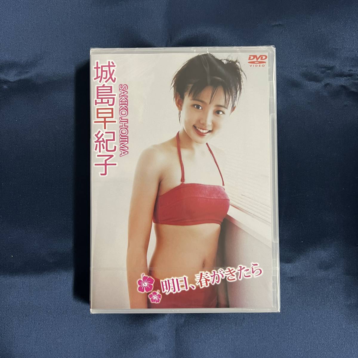 ☆特価DVD★ 城島早紀子 明日、春がきたら 正規品 デッドストック アイドル イメージ