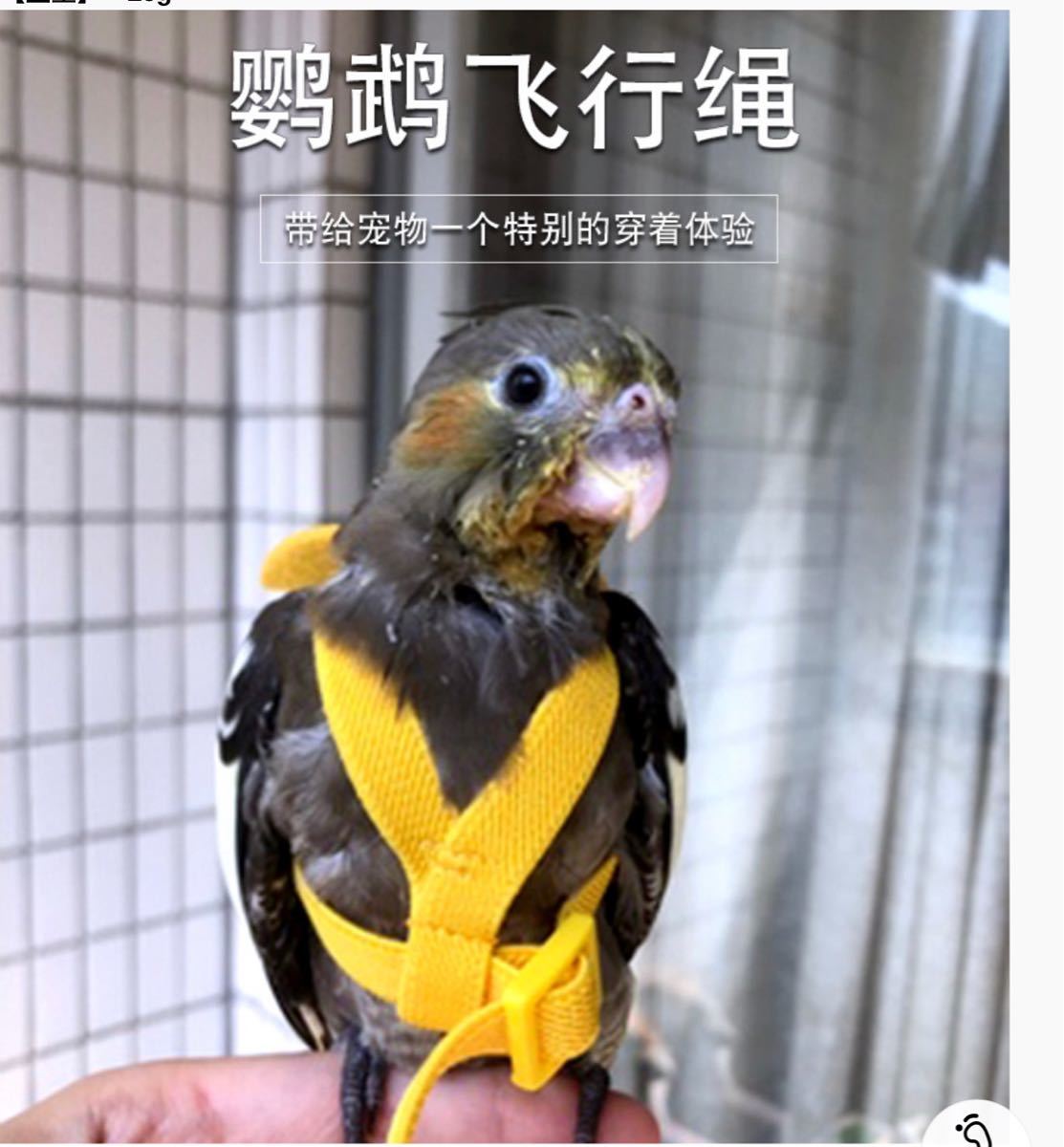 インコの放鳥ハーネス　オキナインコ用　5号