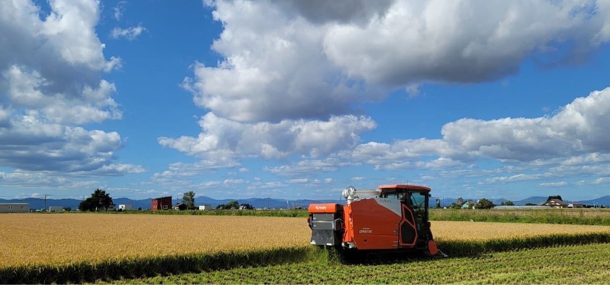 新米 農家直送　令和3年産　北海道　安田農場産　一等米 ななつぼし25kg玄米_画像2