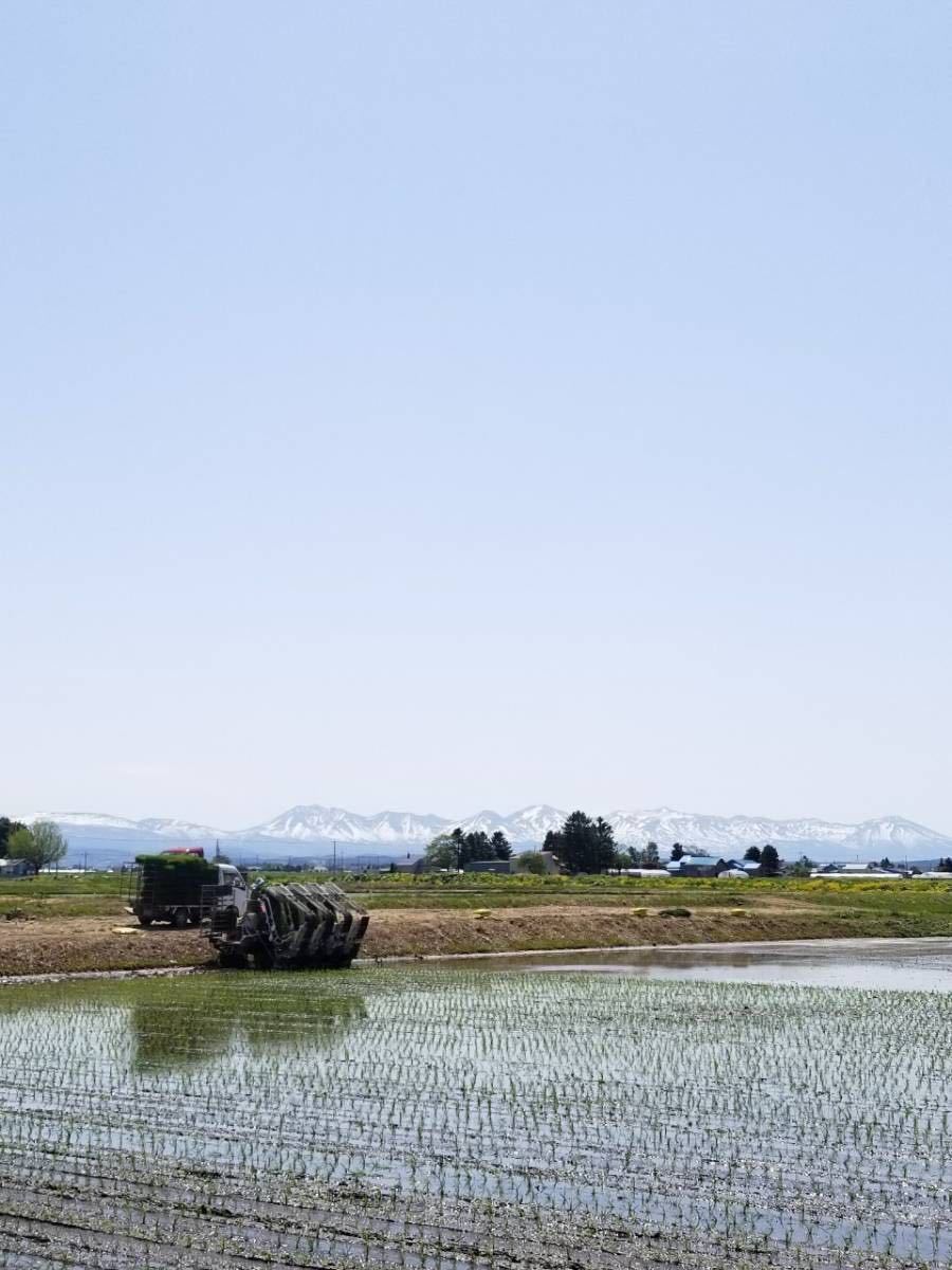 新米 農家直送　令和3年産　北海道　安田農場産　一等米 ななつぼし25kg玄米_画像6