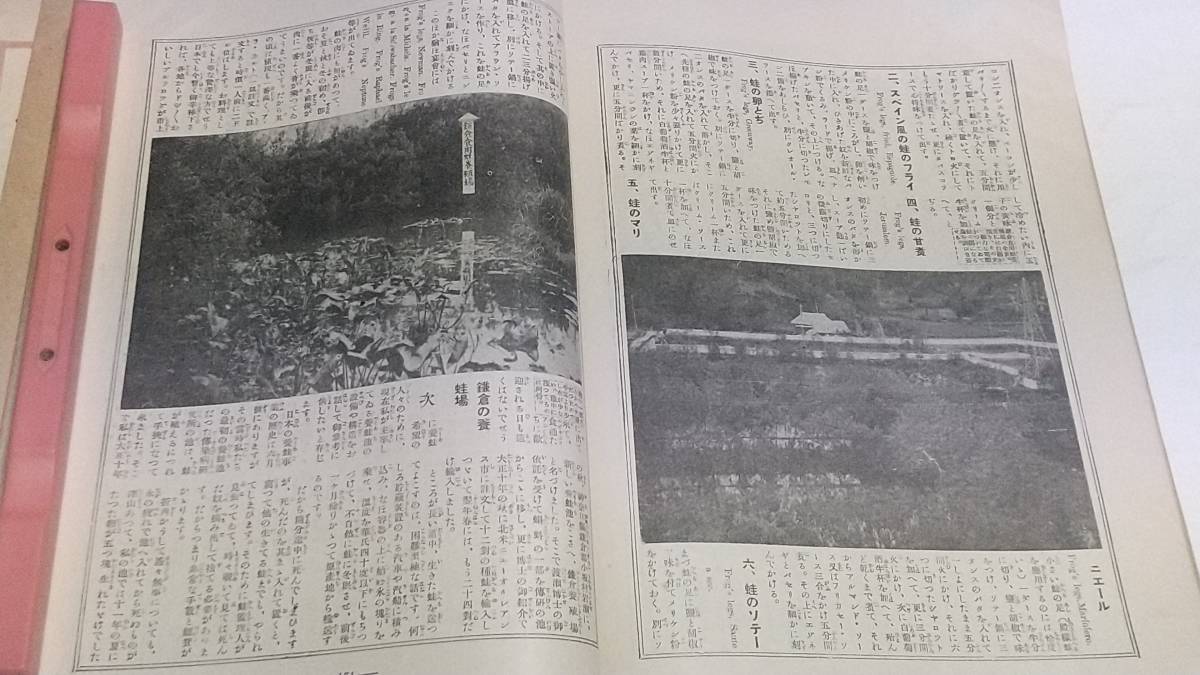 １２　大正１４年８月号　科学画報　エスキモオ娘の美しいよそほひ　蛙の食べ方と育て方　家庭用冷蔵箱_画像5