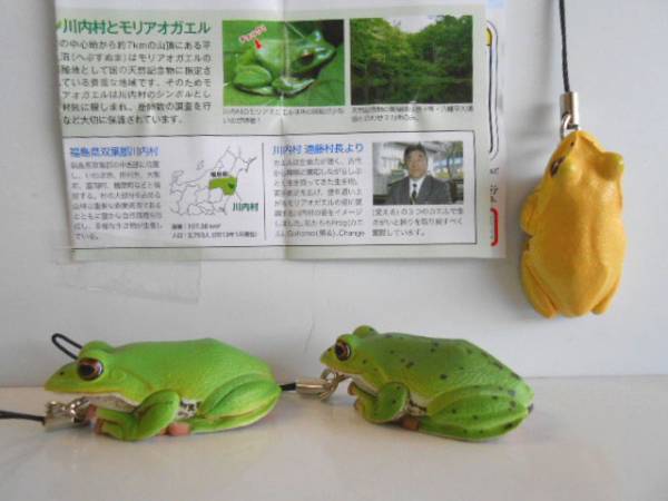 ♯Jua25Czネイチャー川内村のモリアオガエルマグネットスト10種 ♯Jua25Czネイチャー川内村のモリアオガエルマグネットスト10種