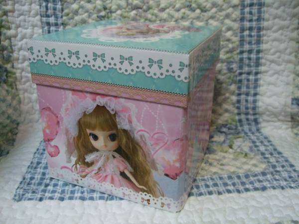 雑貨シリーズ Coral Paper Box ペーパーボックス コラル