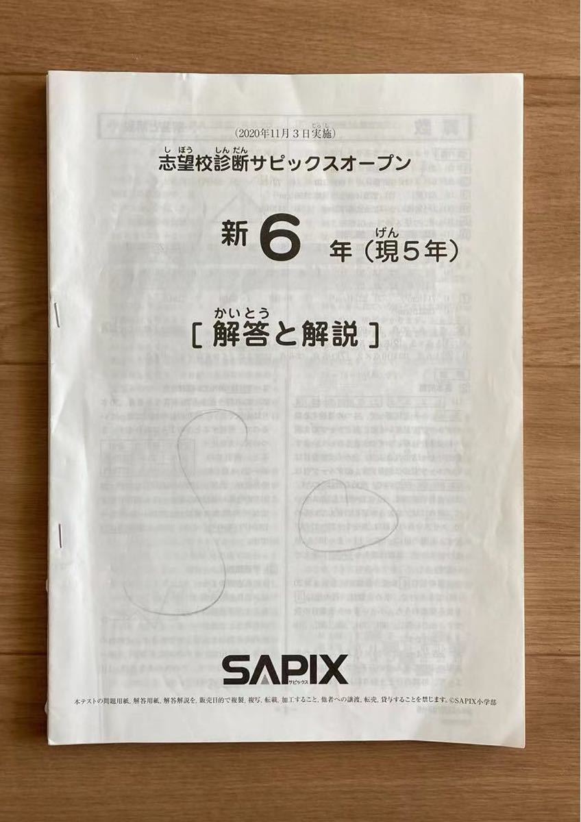 サピックス SAPIX テスト 5年 2021年 13回分 www.irudilab.com