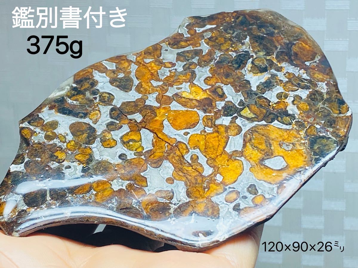 超目玉 メテオライト☆鑑別書付き パラサイト隕石 315g 最高品質セリコ