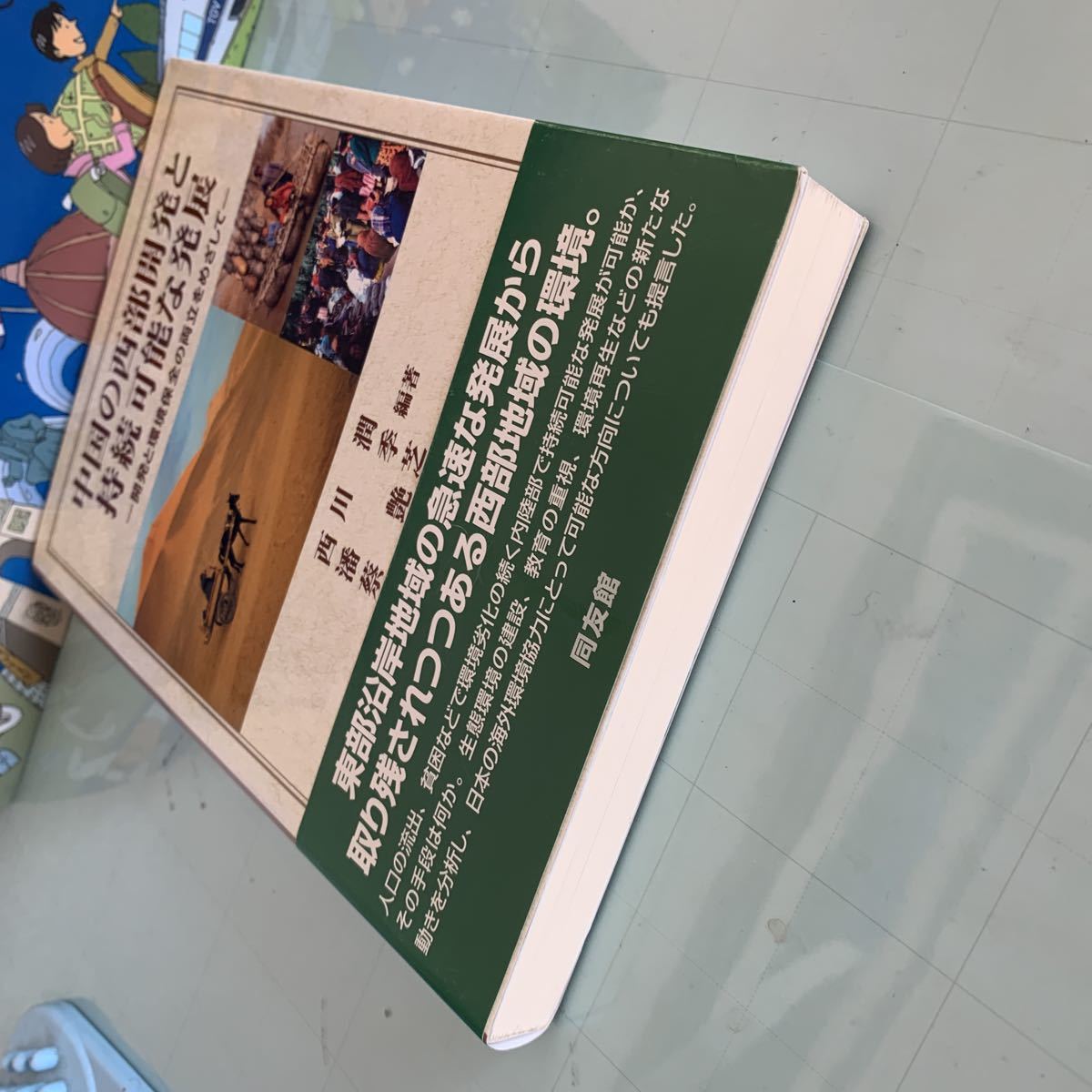 中国の西部開発と持続可能な発展―開発と環境保全の両立をめざして 2006/10/24 西川 潤, 蔡 艶芝 , 潘 季 著_画像3