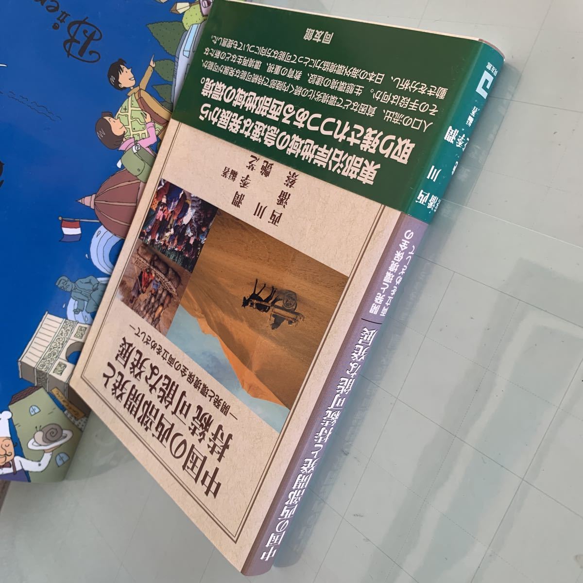 中国の西部開発と持続可能な発展―開発と環境保全の両立をめざして 2006/10/24 西川 潤, 蔡 艶芝 , 潘 季 著_画像4